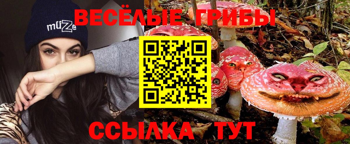 COCAIN  Новосибирск  A PVP СОЛЬ   КЕТАМИН  МЕФ   ЭКСТАЗИ  Вход с VPN  Каннабис  Гашиш  Гашиш 